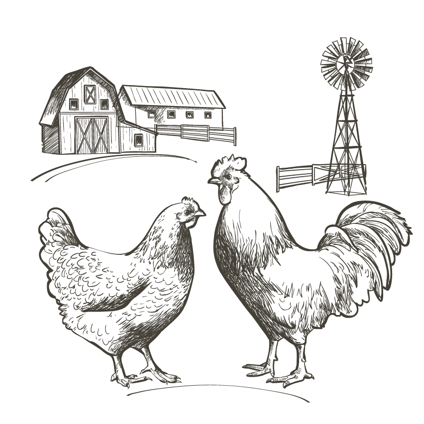Photo d'une ferme et de deux poules pour représenter le secteur de l'agriculture et de l'élevage