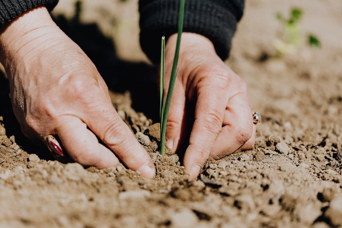 Main travaillant la terre, mettant en valeur le secteur de l'agronomie et du vivant