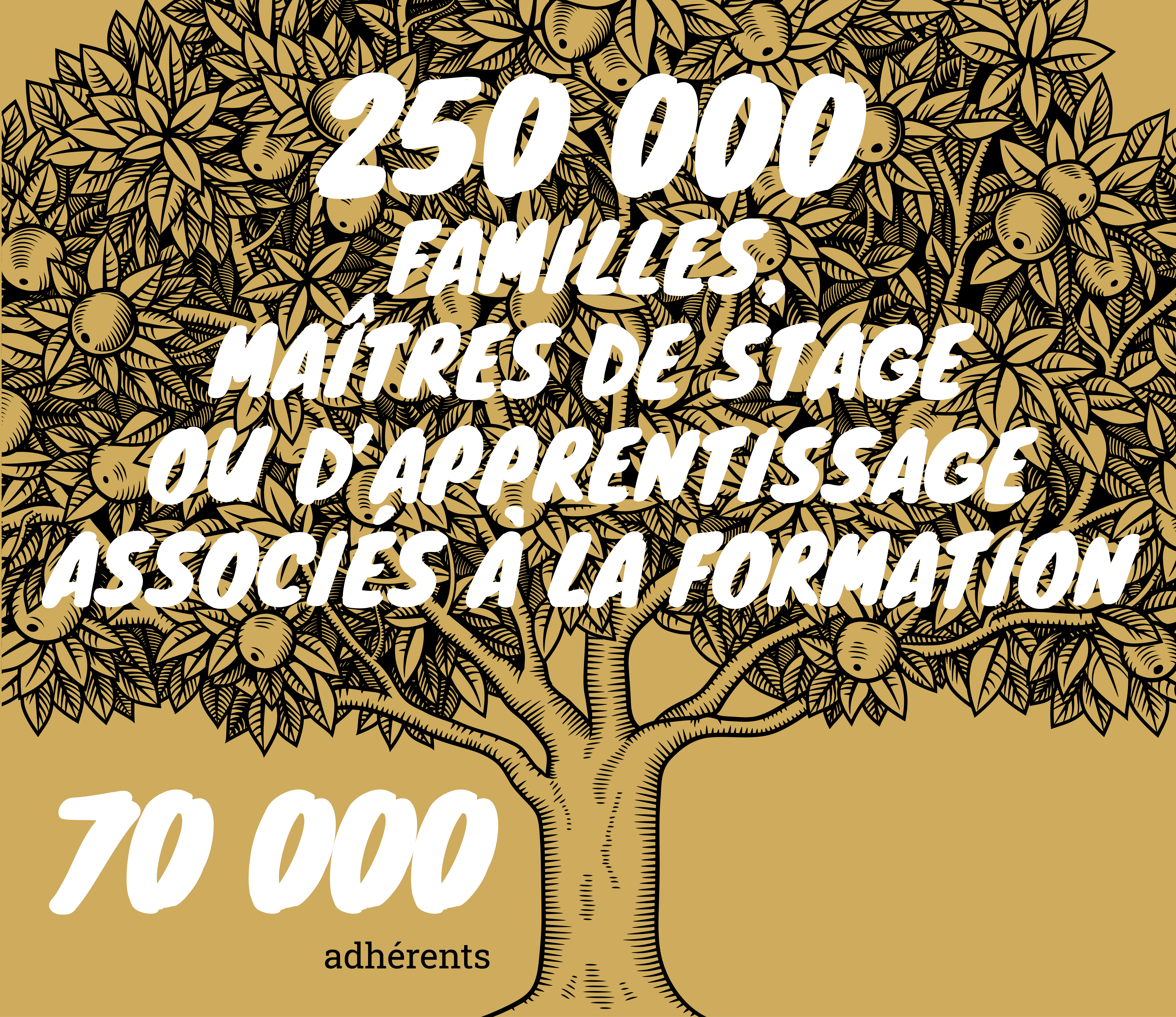adhérents